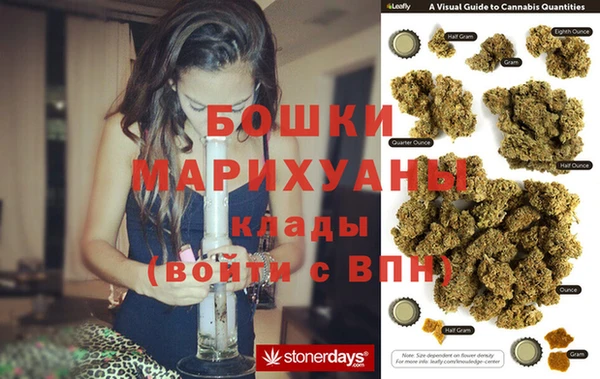 apvp Алзамай