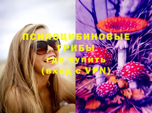 apvp Алзамай