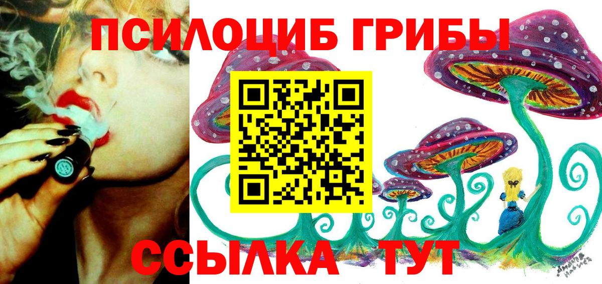 Тайшет  Псилоцибиновые грибы Cubensis  Вход с VPN 