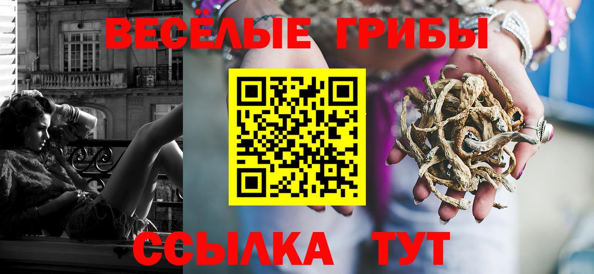 Псилоцибиновые грибы MAGIC MUSHROOMS Тайшет